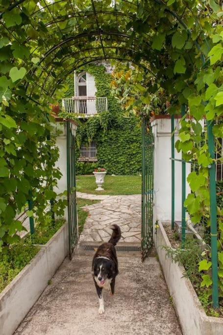 Voltapensieri Apartment Battipaglia Bagian luar foto